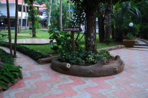 Way to Ayurvedic Centre Way to Ayurvedic Centre