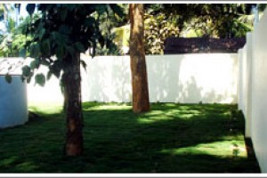 Garden Garden