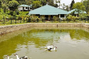 Resort Lake Resort Lake