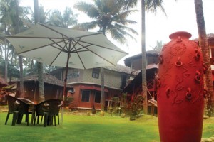 Lawn Lawn
