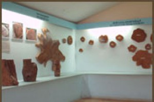 Interior of Teak Museum Interior of Teak Museum