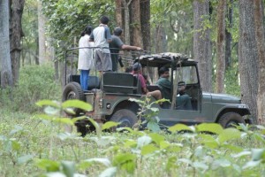 Jeep safari Jeep safari