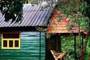 Cottage1 Cottage1