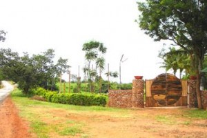 Entrance Entrance