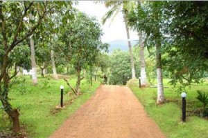 Plantation Plantation