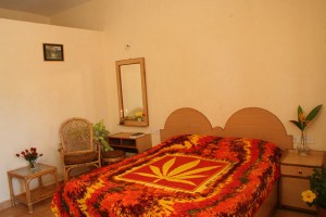 Standard Room Standard Room