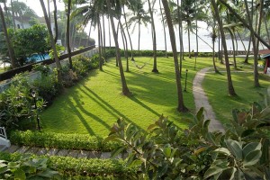 Lawn Lawn