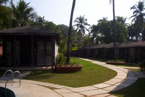 Lawn Lawn