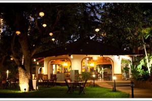 Italian Restaurant Italian Restaurant