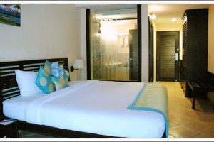 Deluxe Bedroom Deluxe Bedroom