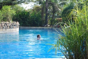 Pool with Lemongrass Pool with Lemongrass