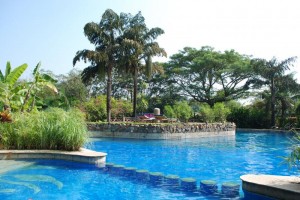 Kid's Pool Kid's Pool