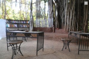 Library in open area Library in open area