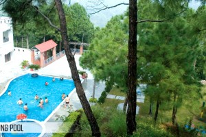 Swimming Pool Swimming Pool