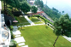 Green Lawn Green Lawn