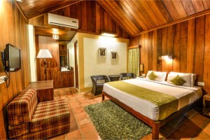 Challet Room Interior Challet Room Interior