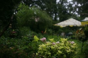 Garden Garden