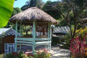 Rest House Rest House