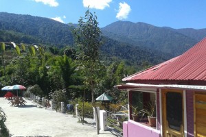 Resort View Resort View