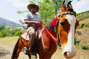 Horse Riding Horse Riding