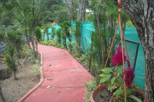 Walking Track Walking Track