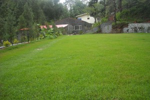 Garden Garden