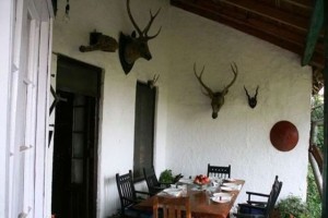 Dining Area Dining Area