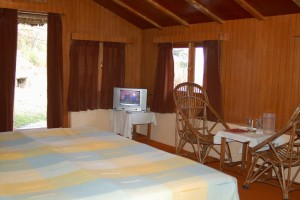 Wooden Interior Wooden Interior
