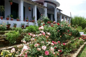Garden Garden