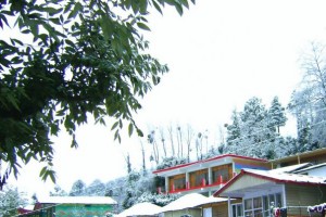 Resort during snow Resort during snow