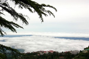 Panoramic View Panoramic View