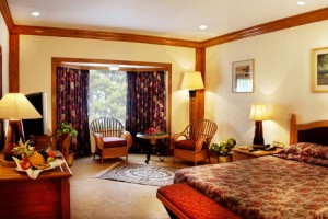 Luxury Room Luxury Room