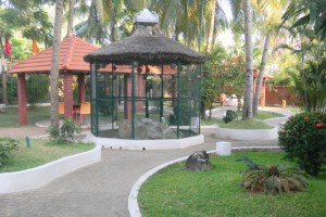Lawn Lawn