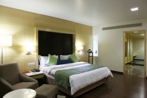 Luxury Accommodation Luxury Accommodation