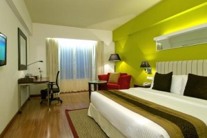 Luxurious Room Luxurious Room