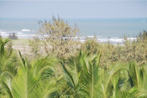 Beach View Beach View
