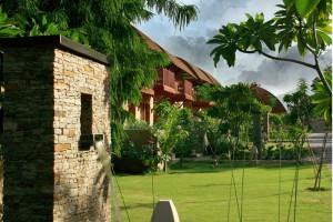 Lawn Lawn
