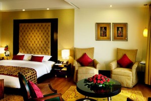 Luxurious Room Luxurious Room