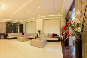 Lounge Lounge
