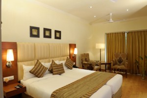Luxury Room Luxury Room