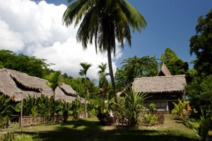Cottage Amidst Garden Cottage Amidst Garden