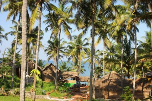 Resort view Resort view