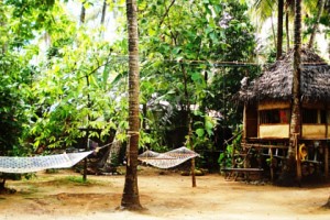 Shiva treehouse Shiva treehouse