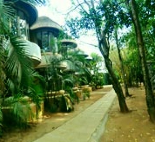 Treasure Island Resort