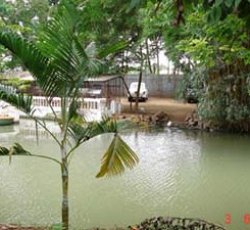 Amblee Resort