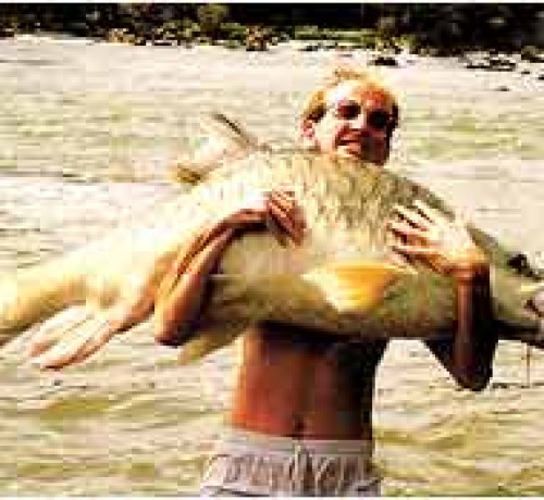 Bushbetta