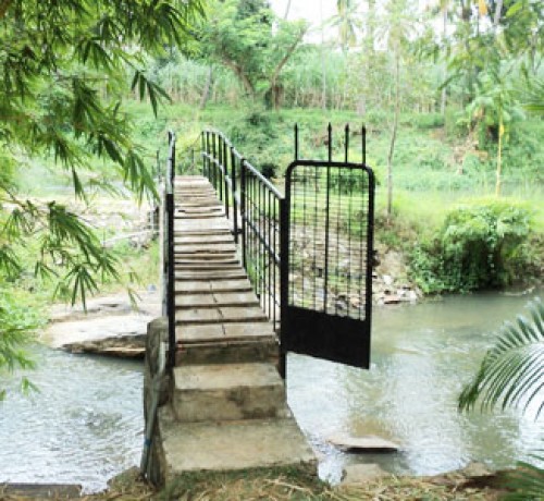 Cauvery Sannidhi for Indian Culture