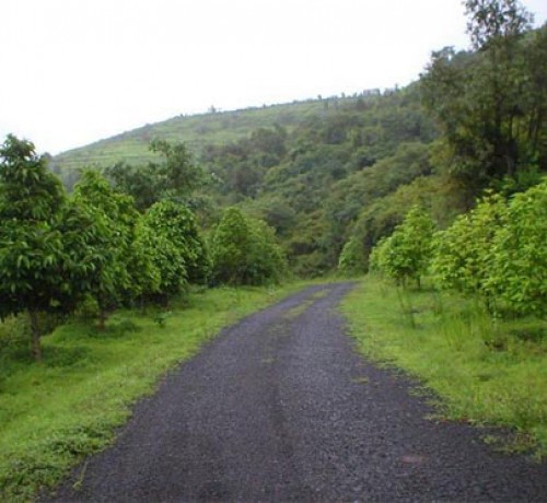 Sai Farms and Holiday Resort