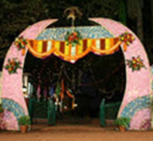 Usha Ascot Usha Ascot
