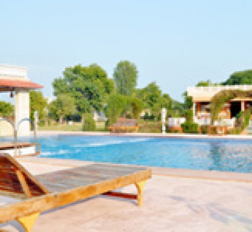 Sariska Tiger Camp